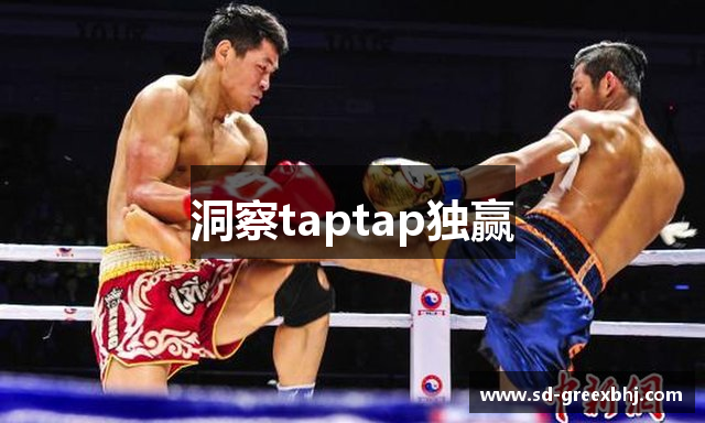 洞察taptap独赢